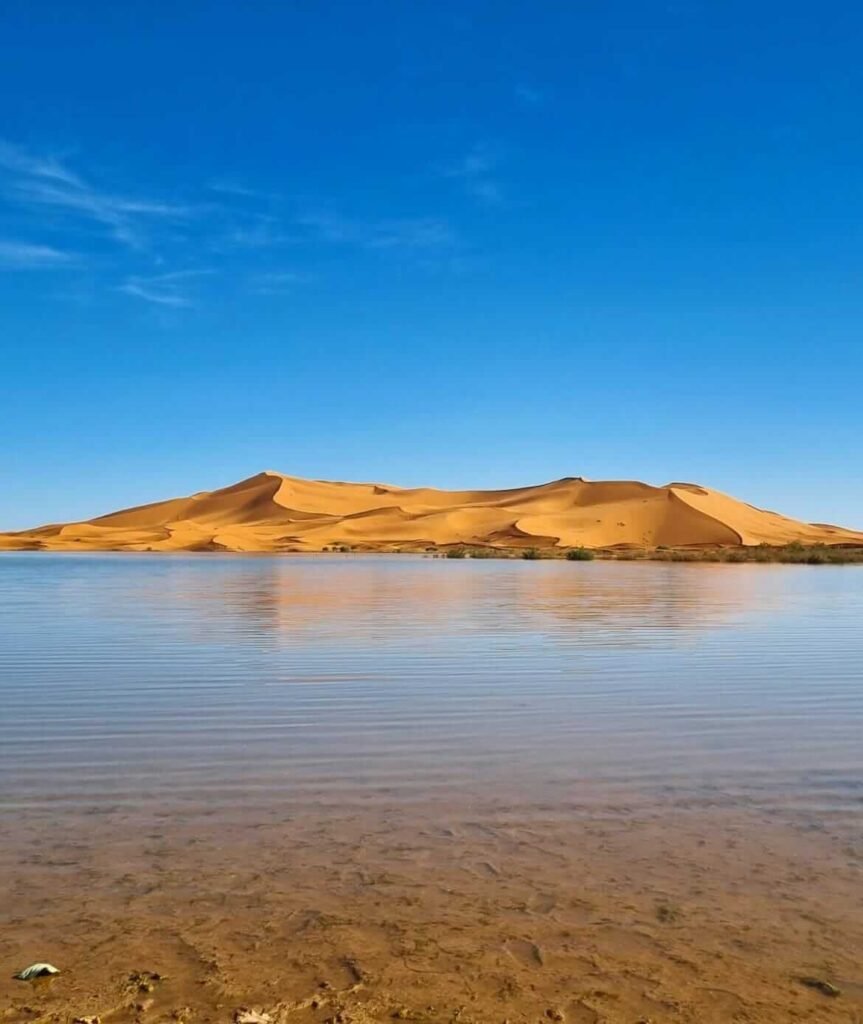Moroccan desert tours